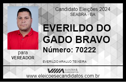 Candidato EVERILDO DO GADO BRAVO 2024 - SEABRA - Eleições