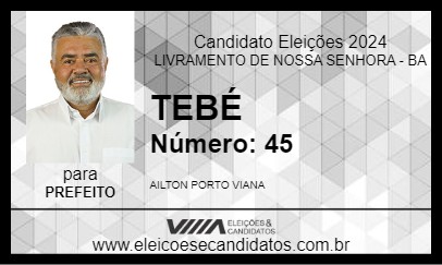 Candidato TEBÉ 2024 - LIVRAMENTO DE NOSSA SENHORA - Eleições