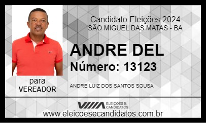 Candidato ANDRE DEL 2024 - SÃO MIGUEL DAS MATAS - Eleições