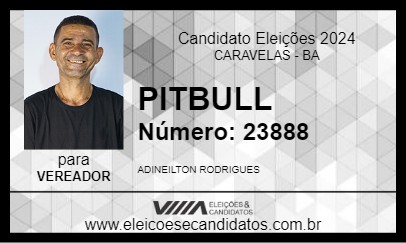 Candidato PITBULL 2024 - CARAVELAS - Eleições