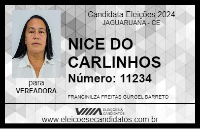 Candidato NICE DO CARLINHOS 2024 - JAGUARUANA - Eleições