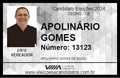 Candidato APOLINÁRIO GOMES 2024 - CEDRO - Eleições