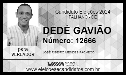 Candidato DEDÉ GAVIÃO 2024 - PALHANO - Eleições