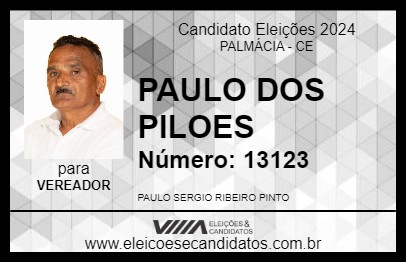 Candidato PAULO DOS PILOES 2024 - PALMÁCIA - Eleições