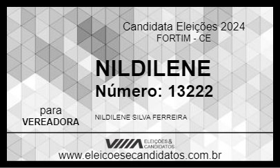 Candidato NILDILENE 2024 - FORTIM - Eleições