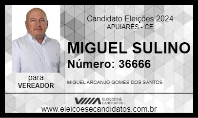 Candidato MIGUEL SULINO 2024 - APUIARÉS - Eleições