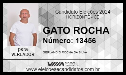 Candidato GATO ROCHA 2024 - HORIZONTE - Eleições