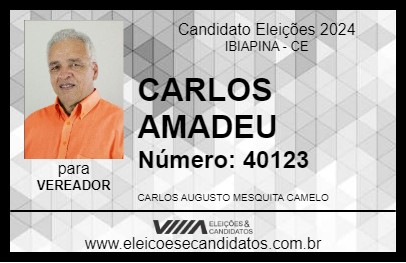 Candidato CARLOS AMADEU 2024 - IBIAPINA - Eleições