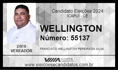 Candidato WELLINGTON 2024 - ICAPUÍ - Eleições