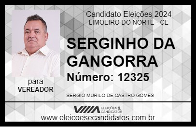 Candidato SERGINHO DA GANGORRA 2024 - LIMOEIRO DO NORTE - Eleições