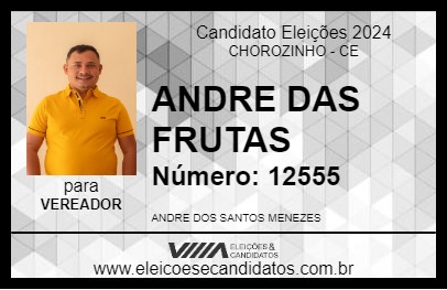 Candidato ANDRE DAS FRUTAS 2024 - CHOROZINHO - Eleições