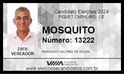 Candidato MOSQUITO 2024 - PIQUET CARNEIRO - Eleições