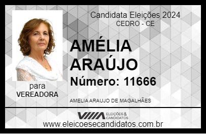 Candidato AMÉLIA ARAÚJO 2024 - CEDRO - Eleições