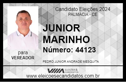 Candidato JUNIOR MARINHO 2024 - PALMÁCIA - Eleições