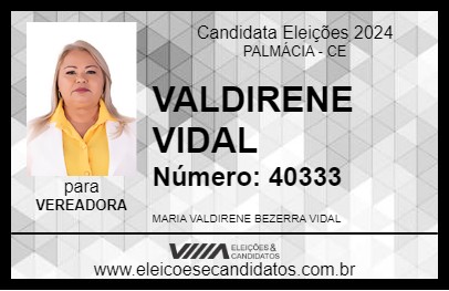 Candidato VALDIRENE VIDAL 2024 - PALMÁCIA - Eleições