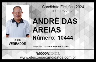 Candidato ANDRÉ DAS AREIAS 2024 - IPUEIRAS - Eleições