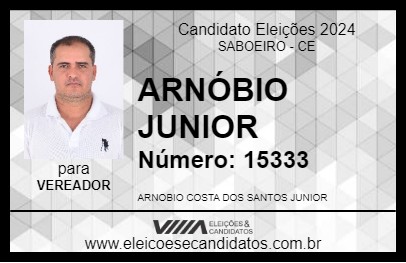 Candidato ARNÓBIO JUNIOR 2024 - SABOEIRO - Eleições