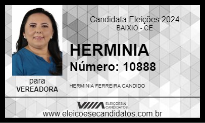 Candidato HERMINIA 2024 - BAIXIO - Eleições