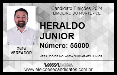 Candidato HERALDO JUNIOR 2024 - LIMOEIRO DO NORTE - Eleições