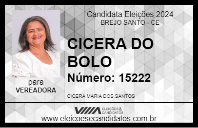 Candidato CICERA DO BOLO 2024 - BREJO SANTO - Eleições