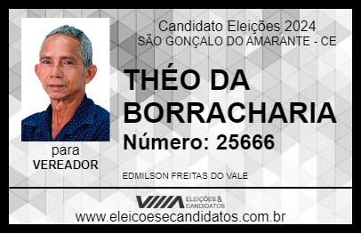 Candidato THÉO DA BORRACHARIA 2024 - SÃO GONÇALO DO AMARANTE - Eleições