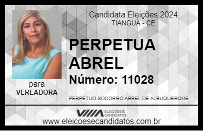 Candidato PERPETUA ABREU 2024 - TIANGUÁ - Eleições