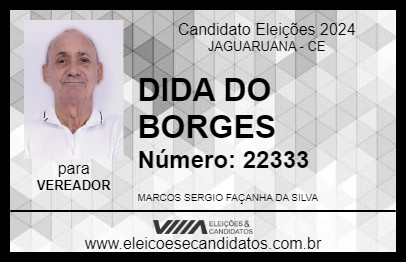 Candidato DIDA DO BORGES 2024 - JAGUARUANA - Eleições