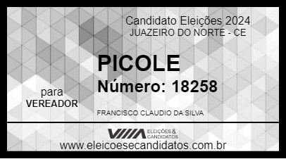 Candidato PICOLE 2024 - JUAZEIRO DO NORTE - Eleições