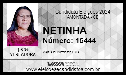 Candidato NETINHA 2024 - AMONTADA - Eleições