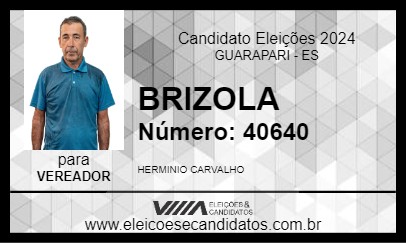 Candidato BRIZOLA 2024 - GUARAPARI - Eleições