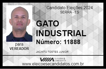 Candidato GATO INDUSTRIAL 2024 - SERRA - Eleições