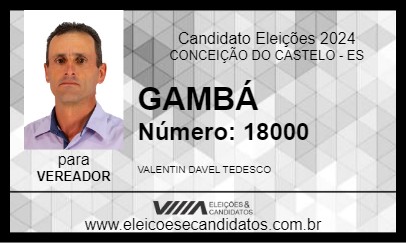 Candidato GAMBÁ 2024 - CONCEIÇÃO DO CASTELO - Eleições