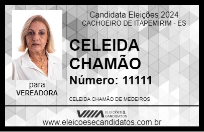 Candidato CELEIDA CHAMÃO 2024 - CACHOEIRO DE ITAPEMIRIM - Eleições