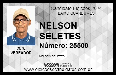 Candidato NELSON SELETES 2024 - BAIXO GUANDU - Eleições