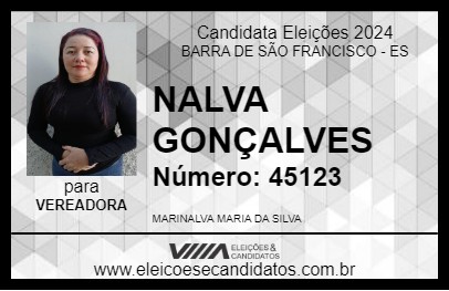 Candidato NALVA GONÇALVES 2024 - BARRA DE SÃO FRANCISCO - Eleições