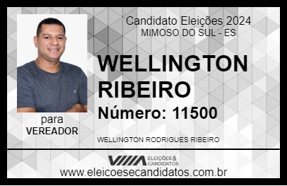 Candidato WELLINGTON RIBEIRO 2024 - MIMOSO DO SUL - Eleições