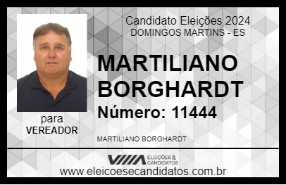 Candidato MARTILIANO BORGHARDT 2024 - DOMINGOS MARTINS - Eleições