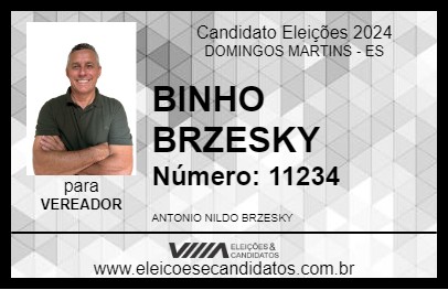 Candidato BINHO BRZESKY 2024 - DOMINGOS MARTINS - Eleições