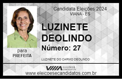 Candidato LUZINETE DEOLINDO 2024 - VIANA - Eleições