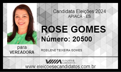 Candidato ROSE GOMES 2024 - APIACÁ - Eleições