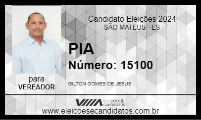 Candidato PIA 2024 - SÃO MATEUS - Eleições