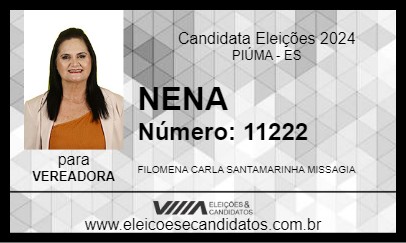 Candidato NENA 2024 - PIÚMA - Eleições