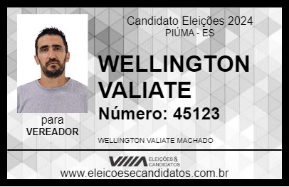 Candidato WELLINGTON VALIATE 2024 - PIÚMA - Eleições