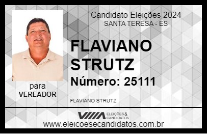 Candidato FLAVIANO STRUTZ 2024 - SANTA TERESA - Eleições