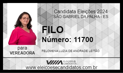 Candidato FILO 2024 - SÃO GABRIEL DA PALHA - Eleições