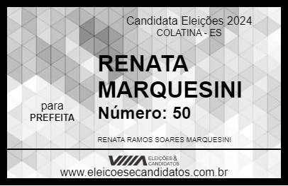 Candidato RENATA MARQUESINI 2024 - COLATINA - Eleições