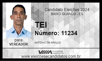 Candidato TEI 2024 - BAIXO GUANDU - Eleições