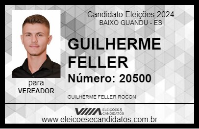 Candidato GUILHERME FELLER  2024 - BAIXO GUANDU - Eleições