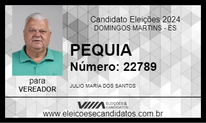 Candidato PEQUIA 2024 - DOMINGOS MARTINS - Eleições