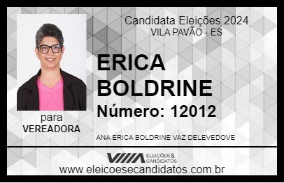 Candidato ERICA BOLDRINE 2024 - VILA PAVÃO - Eleições